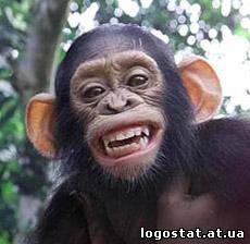 Цікаві факти про сміх