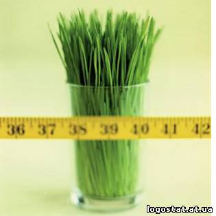 П’ять міфів про дієту