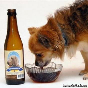 10 неймовірних сортів пива