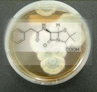 Топ-8 важливих випадкових відкриттів